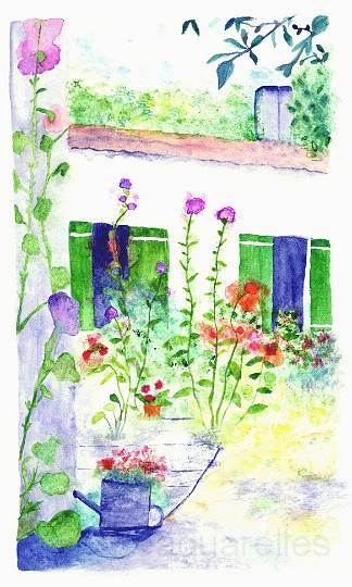 grande fleurs.JPG - Rose trmire